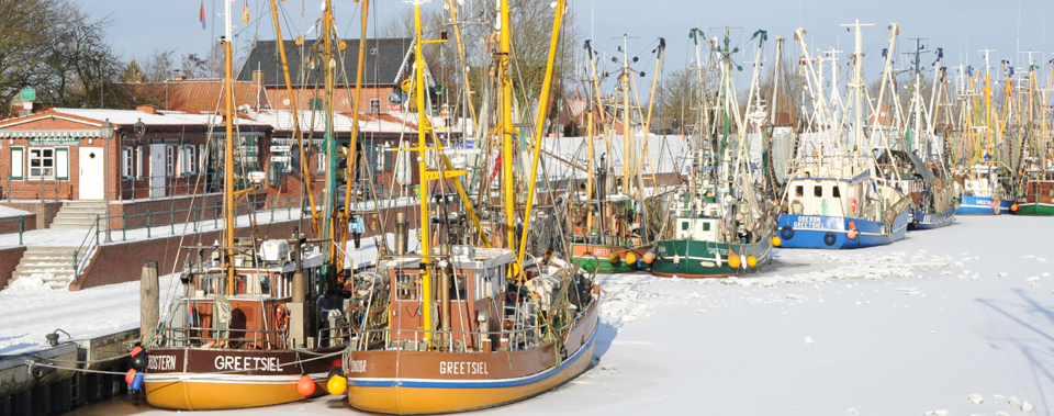 Greetsieler Hafen im Winter